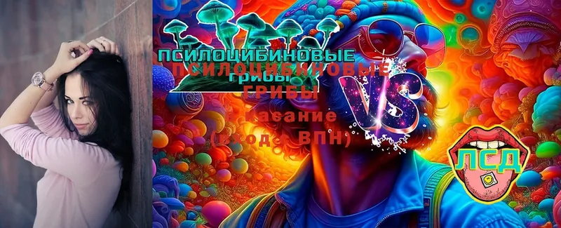 Галлюциногенные грибы Psilocybe  ОМГ ОМГ зеркало  Губкин 